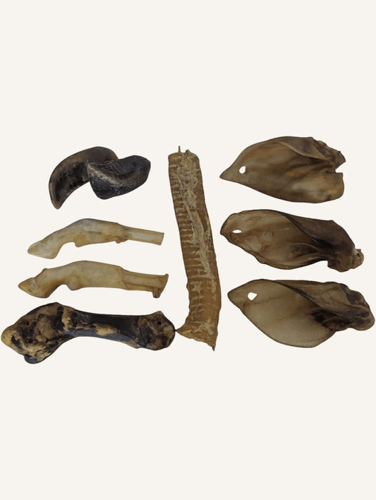 Box Longue Mastication pour Chien | Friandises Naturelles à Mâcher