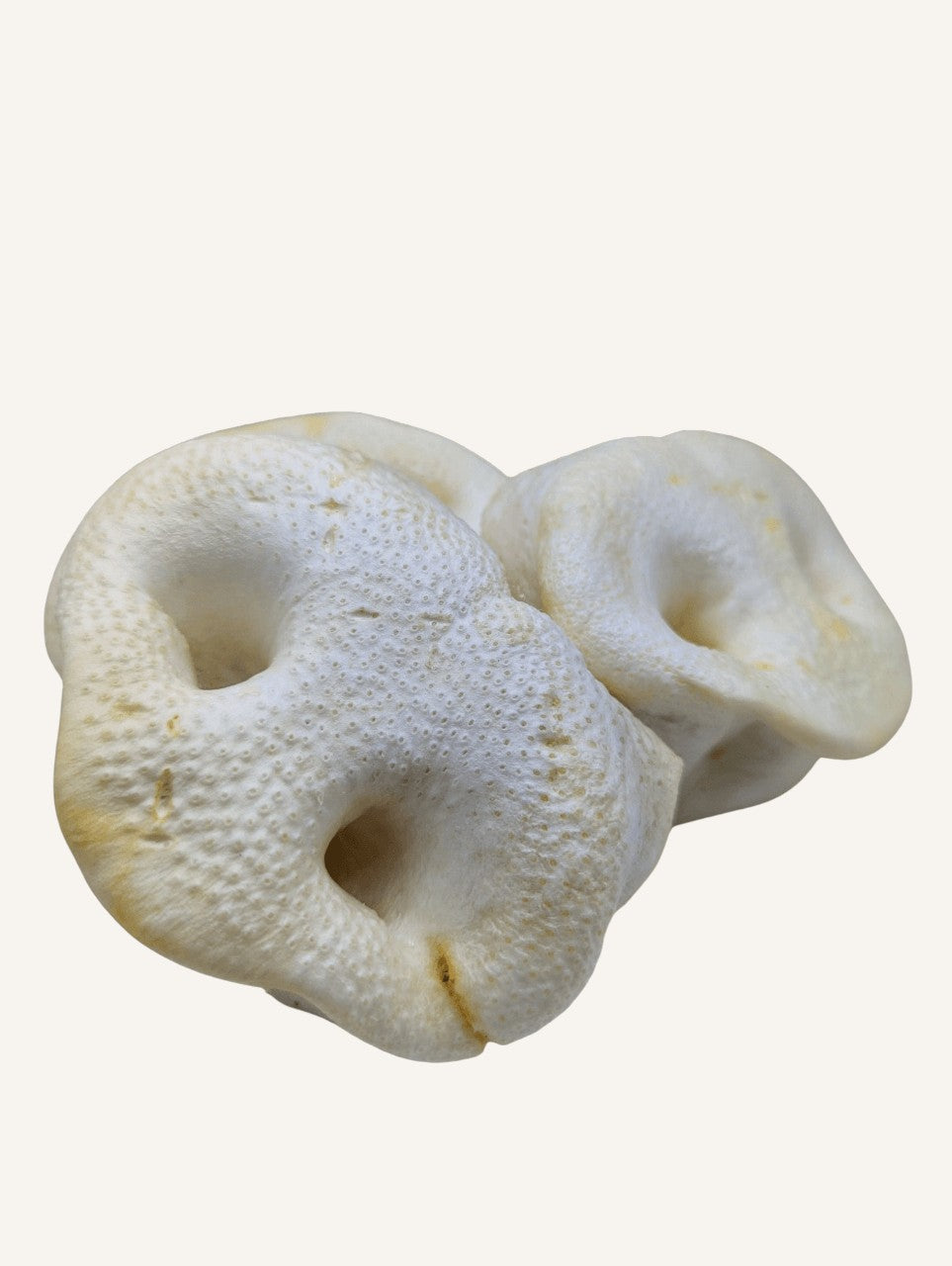 Groin de porc soufflé | Friandise naturelle à mâcher pour chien