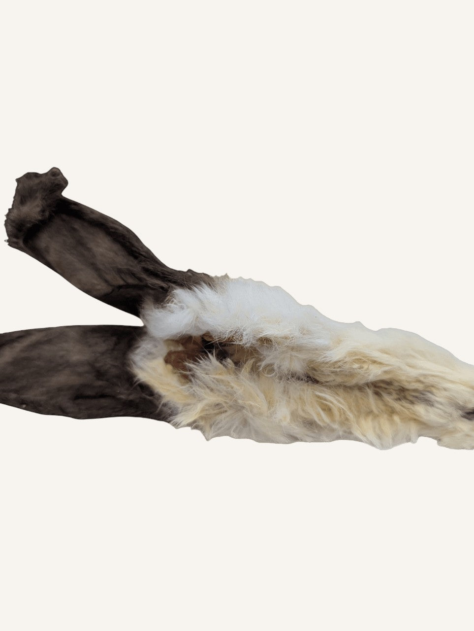 Oreille de lapin séchée | mastication 100% naturelle pour chien