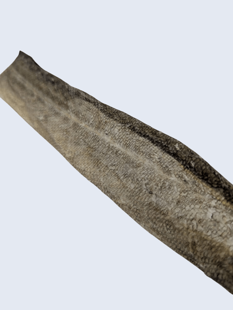 Source naturelle d’oméga-3, la peau de saumon séchée est idéale pour la santé de la peau et du pelage de votre chien.