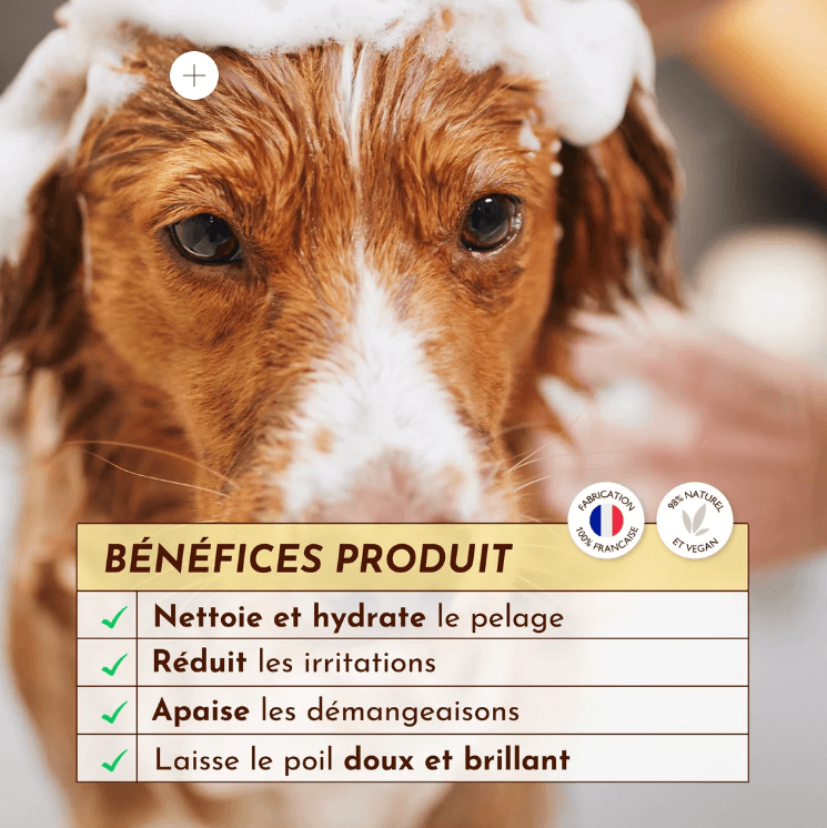 Shampoing anti démangeaison chien liquide : Le Miraculeux