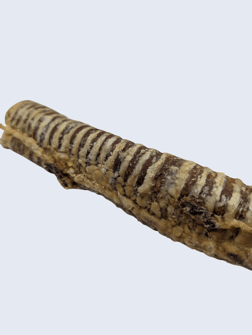 Un classique des friandises naturelles : savoureuse, croustillante et bonne pour l’hygiène bucco-dentaire.