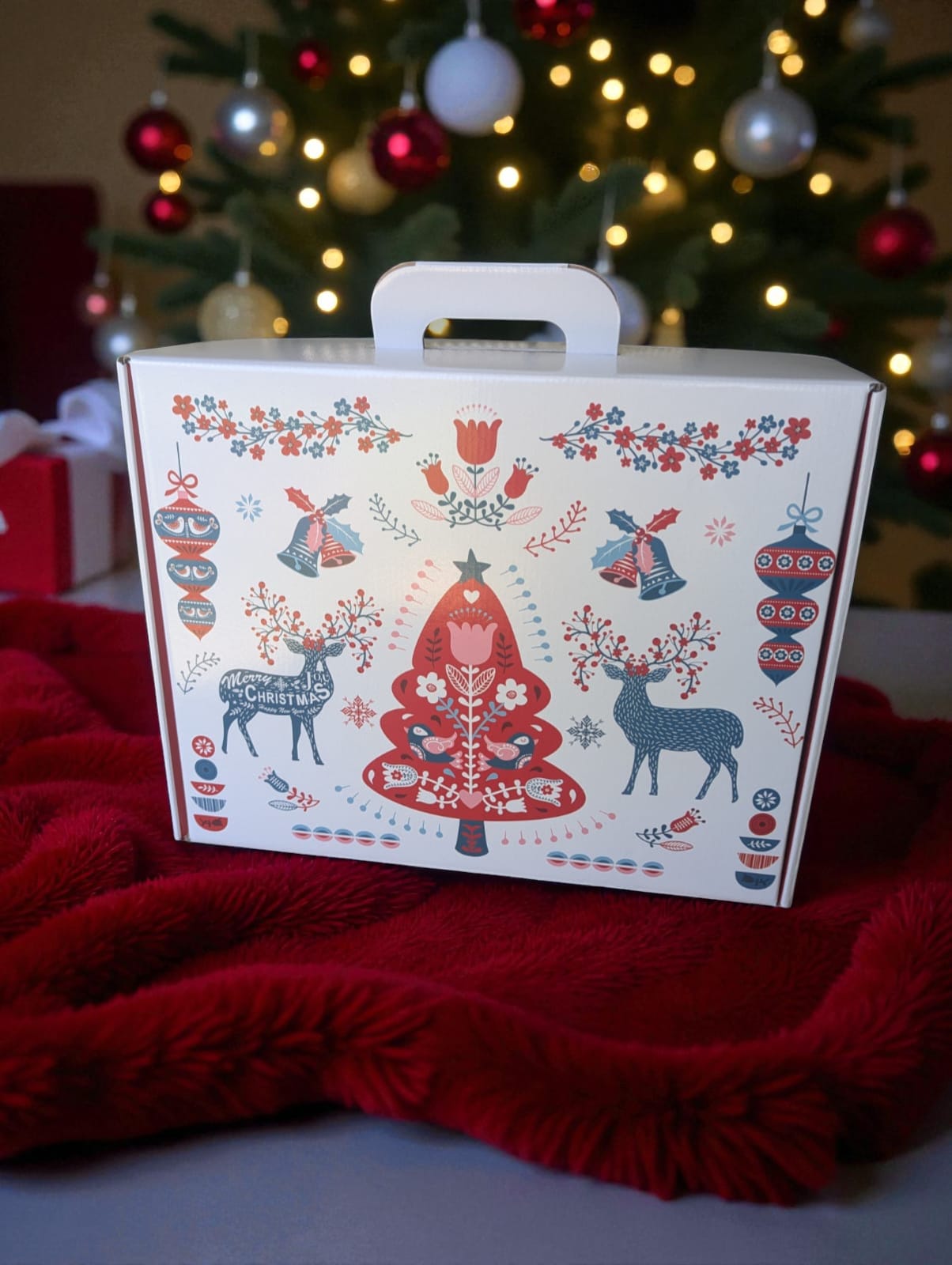 Box de Noël pour chien – Friandises naturelles et festives 🎁