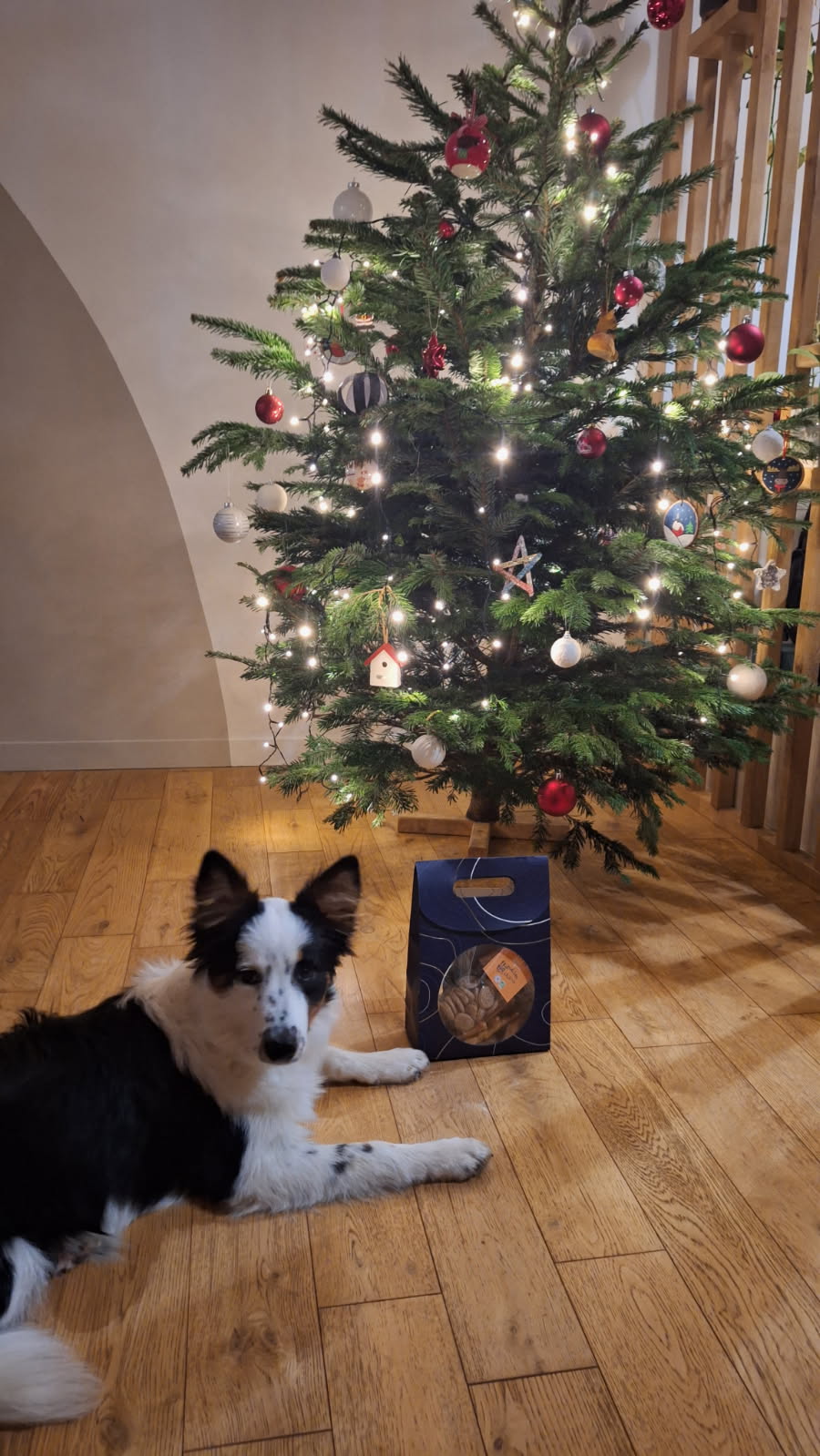 Paquet de Noël (série limitée)