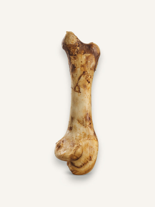 Os d'autruche