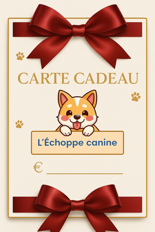 Cartes cadeaux