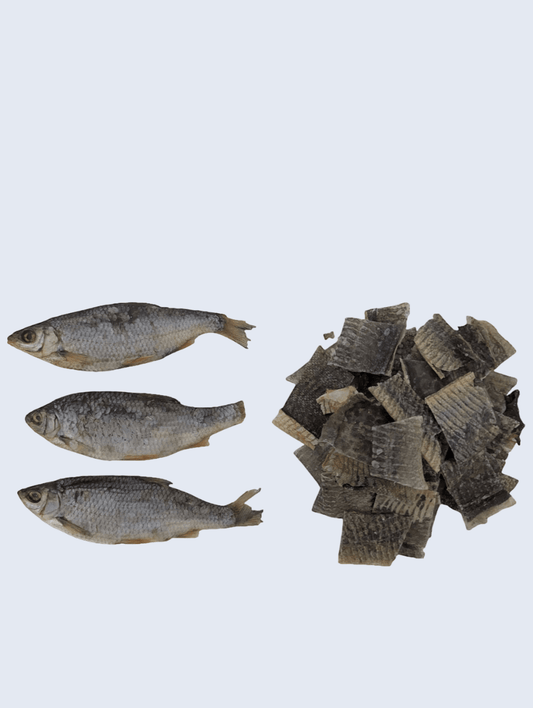 Une recette originale à base de poisson pour régaler votre chien avec des saveurs marines croustillantes et naturelles.