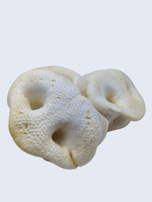 Une friandise originale et croquante au porc, idéale pour les moments de mastication.