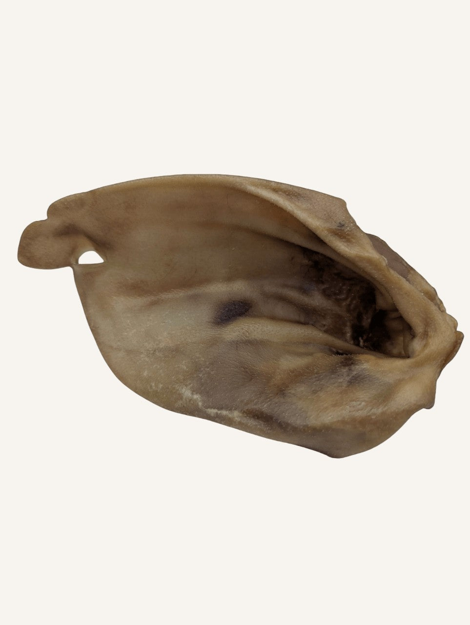 Oreilles de Bœuf XL pour Chiens : Une Friandise Naturelle et Savoureuse