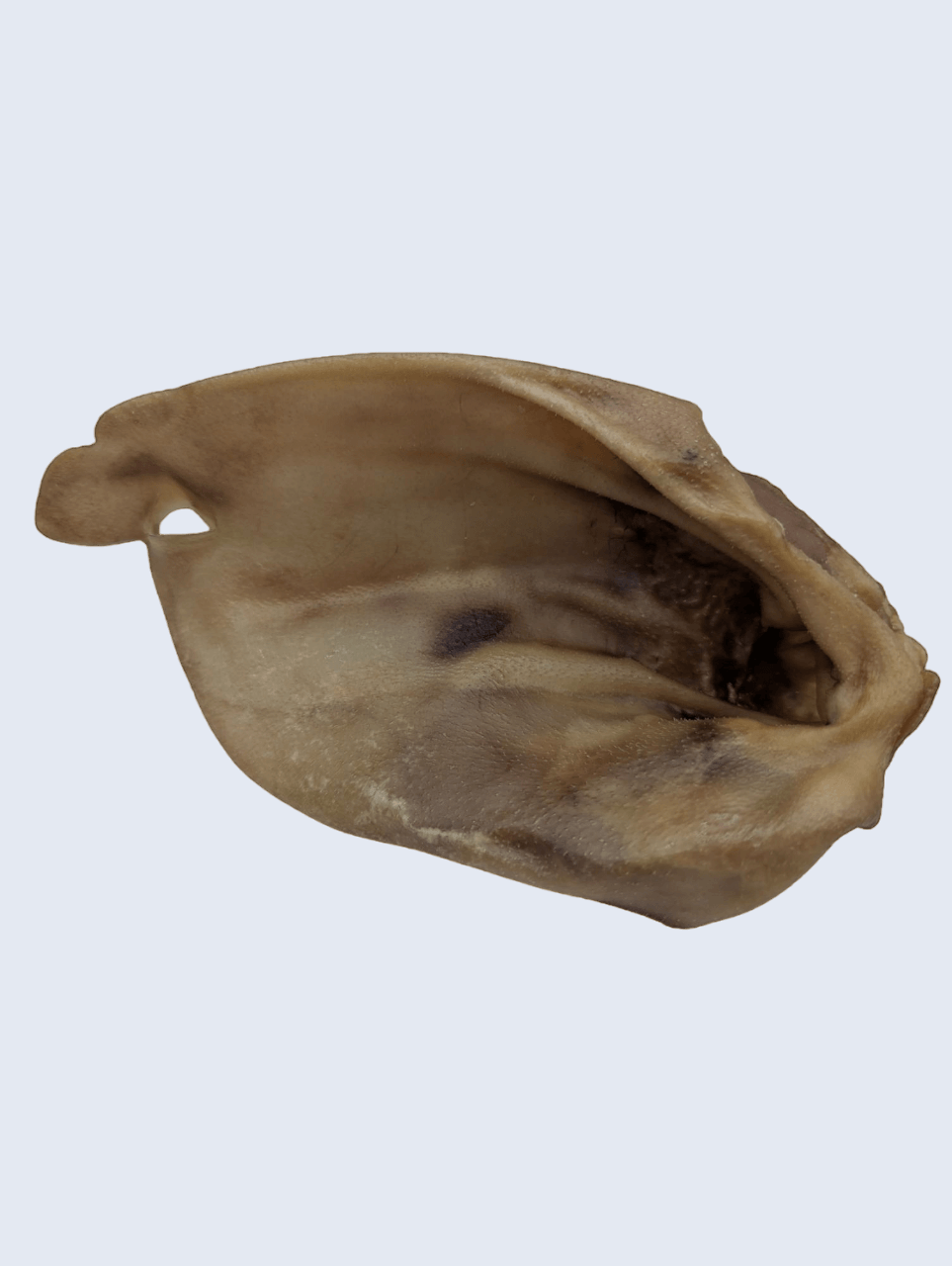 Une friandise de grande taille pour les mâcheurs puissants. 100% bœuf, 100% plaisir.