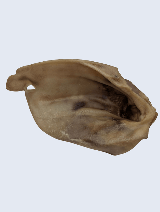 Une friandise de grande taille pour les mâcheurs puissants. 100% bœuf, 100% plaisir.
