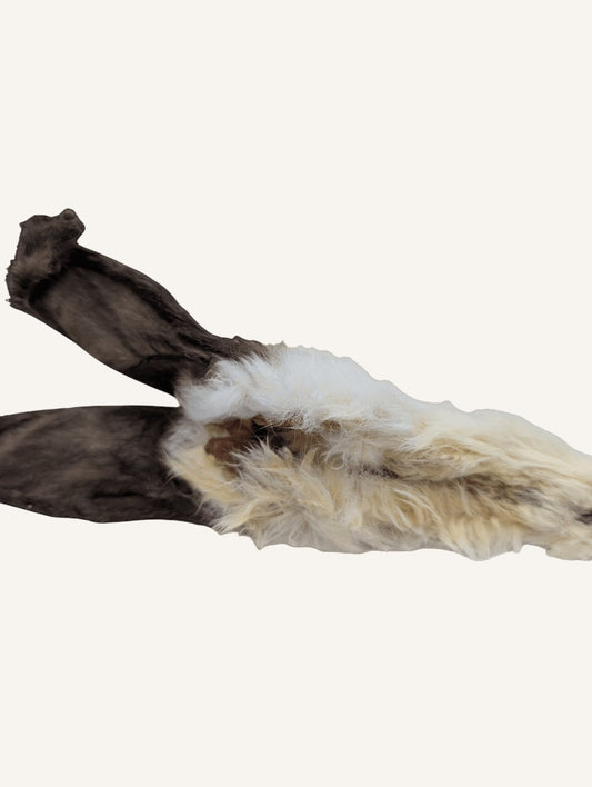 Oreille de lapin séchée | mastication 100% naturelle pour chien