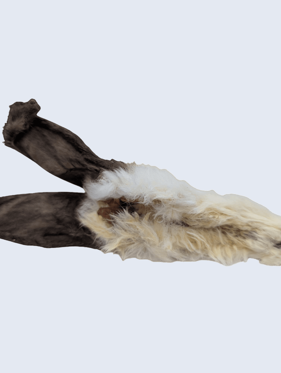 Délicate et croustillante, l’oreille de lapin est idéale pour les petits chiens ou les estomacs sensibles.