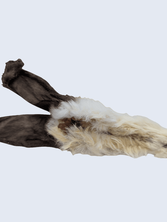 Délicate et croustillante, l’oreille de lapin est idéale pour les petits chiens ou les estomacs sensibles.
