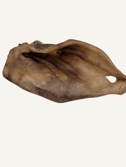 Oreille de cochon naturelle | Idéale pour le plaisir de mâcher