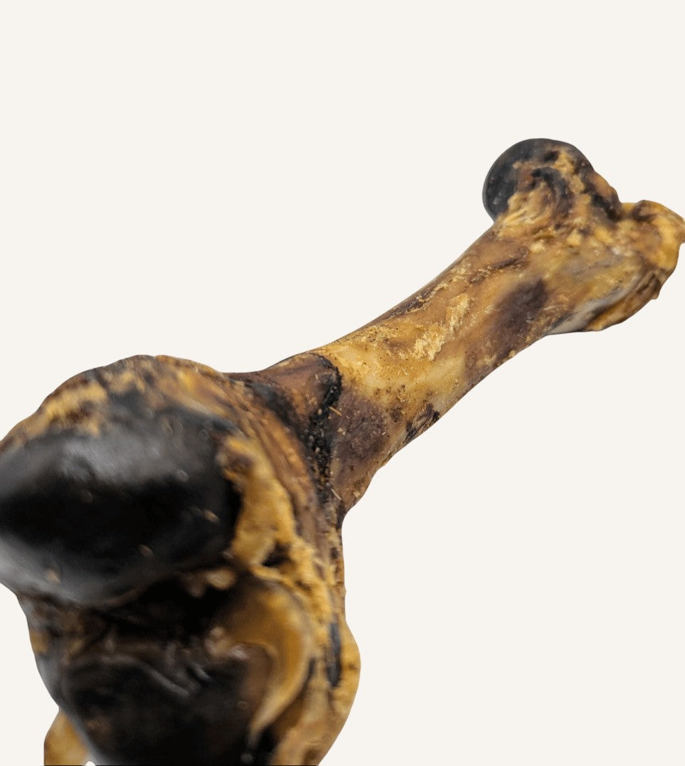 Os de porc naturel | Mastication savoureuse pour chien