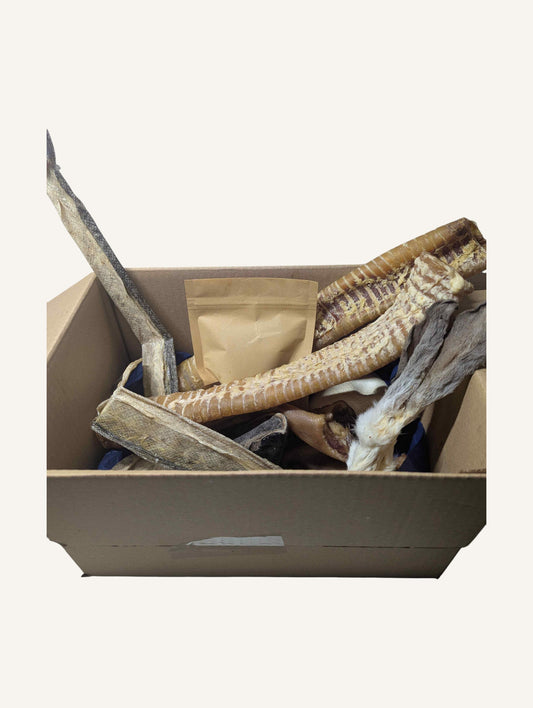 Box XXL Friandises pour Chien | Grand Format Idéal Multi-Chiens ou Gros Gourmands