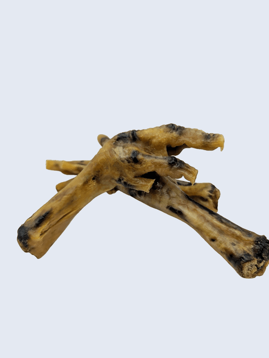 Une friandise croustillante à base de pattes de poulet, idéale pour le nettoyage dentaire de votre chien.