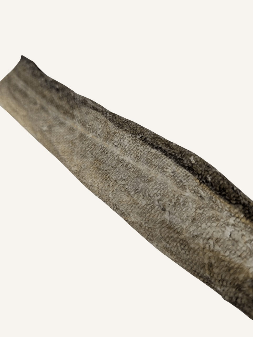 Peau de saumon séchée | Riche en oméga-3 pour chien