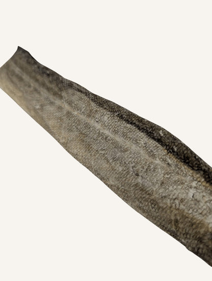 Peau de saumon séchée | Riche en oméga-3 pour chien