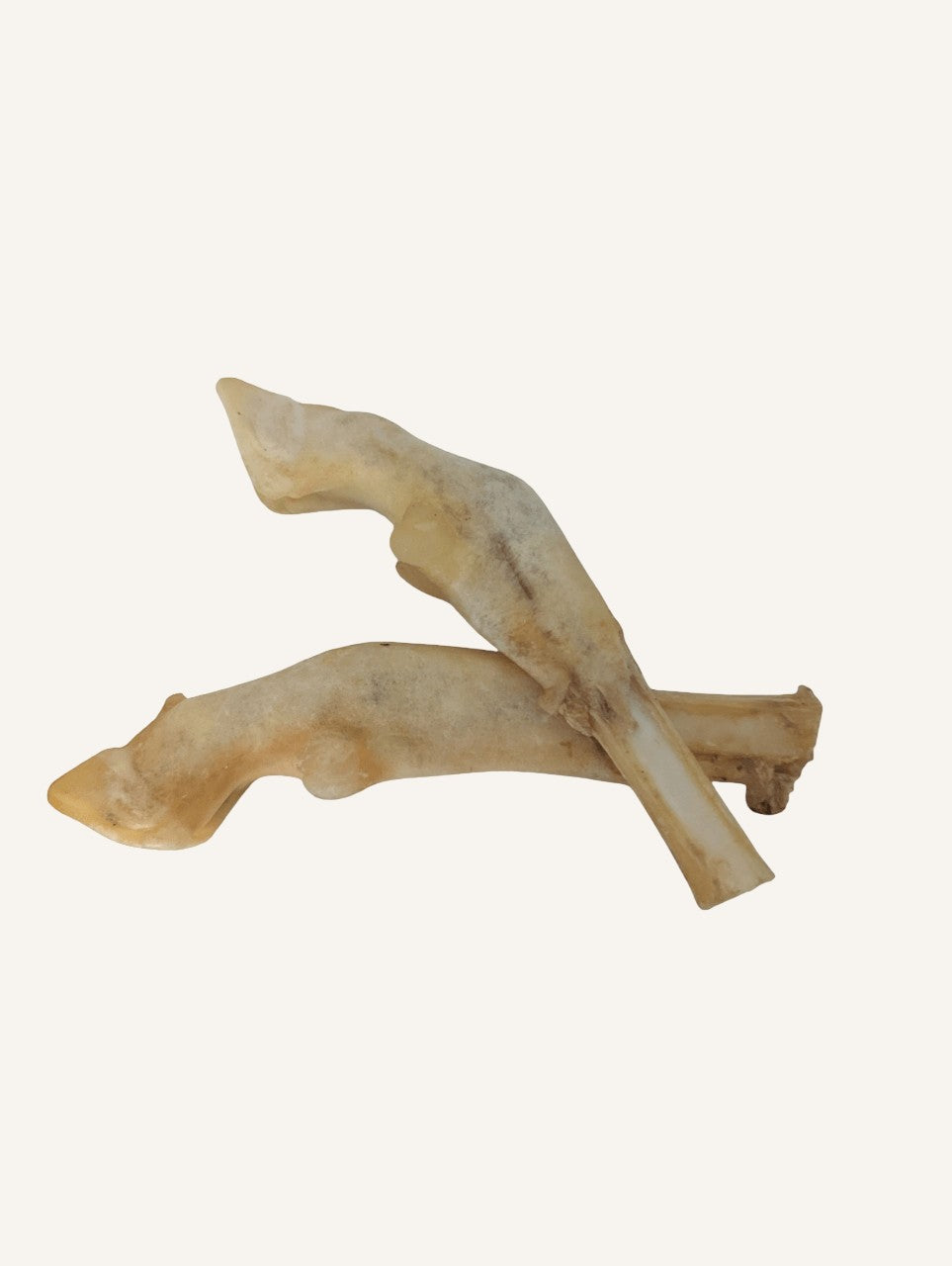 Pieds d’Agneau Naturels pour Chien | Friandise Dentaire 100 % Naturelle