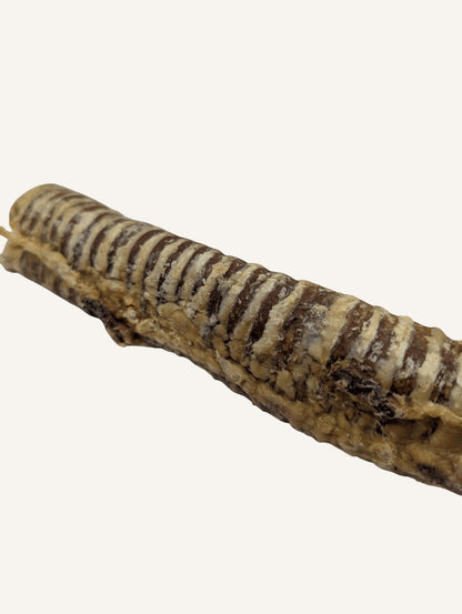 Trachée de bœuf naturelle | Idéale pour occuper et régaler votre chien