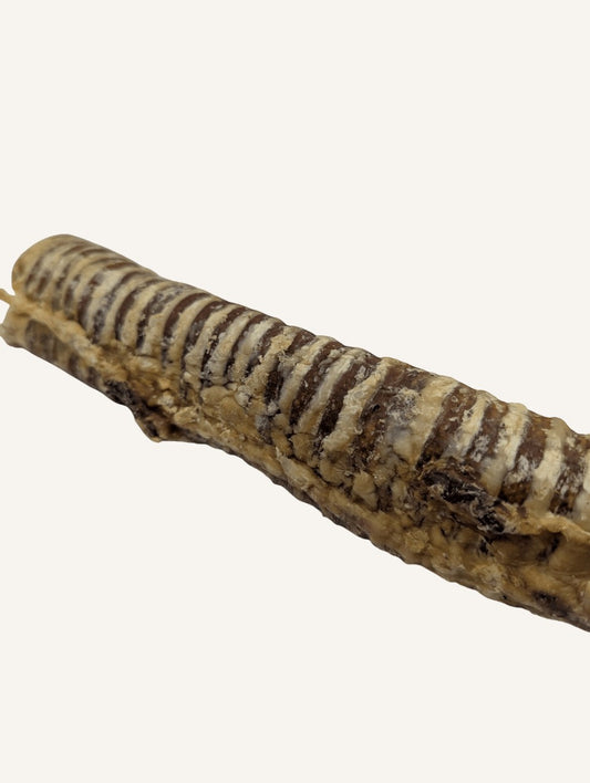 Trachée de bœuf naturelle | Idéale pour occuper et régaler votre chien