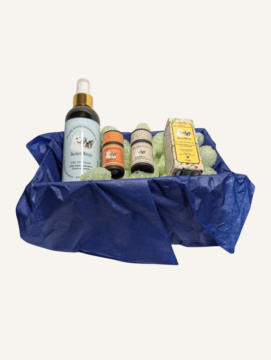 Box Été Bio pour Chien | Soins Naturels + Pochette Offerte