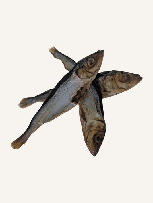 Hareng pour chien – Friandise naturelle riche en oméga-3