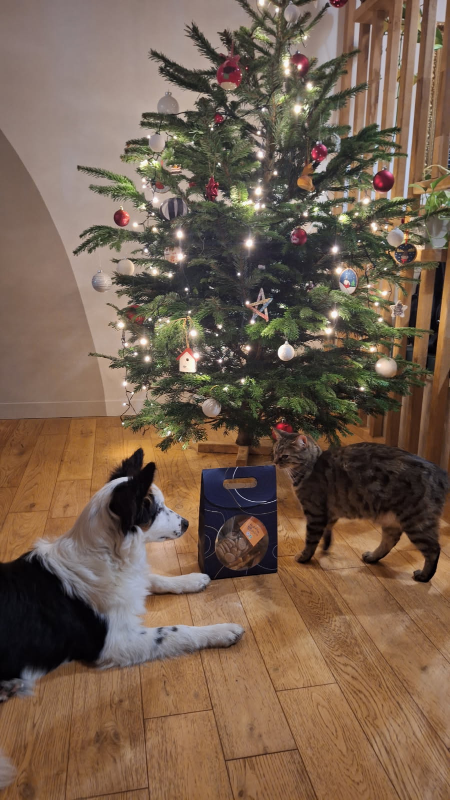 Paquet de Noël (série limitée)