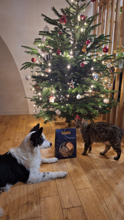 Paquet de Noël (série limitée)